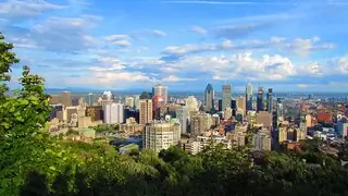 montreal skyline over treetops