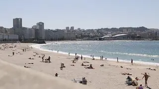 beach with sunbathers