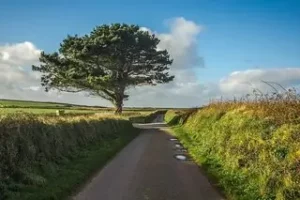 English country road perfect for Uk car rental holiday